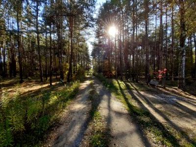 Działka, ul. Nasielska