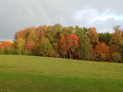 Działka, ul. Żurawia