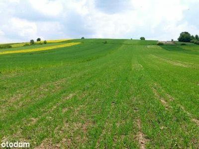 działki rolne i leśna, Żurawnica, gm. Zwierzyniec