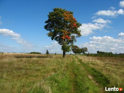 Mazury działki nad. jeziorem Rańskim.