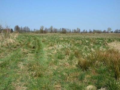 Na sprzedaż działka budowlana nad morzem, Smołdziński Las,