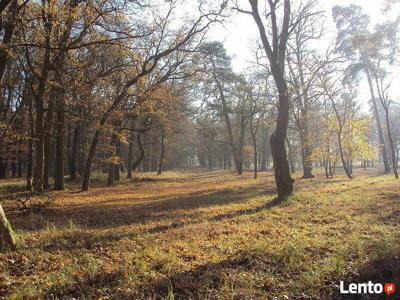 Rzędziny,2000m2,zabud. jednorodzinna,las-park.