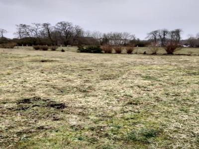 Rzędziny,2041m2,zabuowa jednorodzinna,las,park