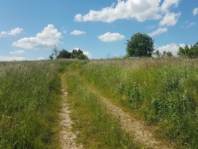 Działka budowlana Rybna, ul. Dębowa