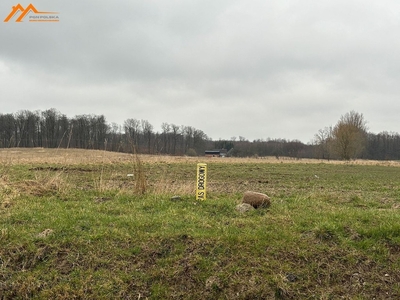 Działka rolna Stare Bielice