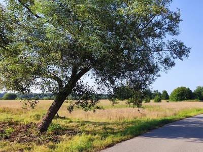 Działka budowlana Szarwark