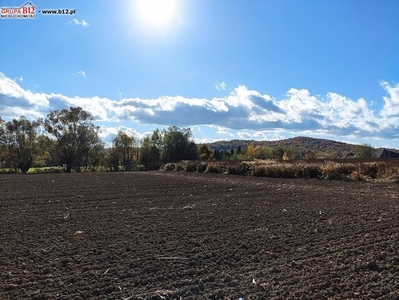 Działka inna Gdów, ul. Młyńska