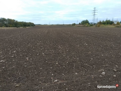 Działka inwestycyjna na sprzedaż, Nysa ul. Piłsudskiego