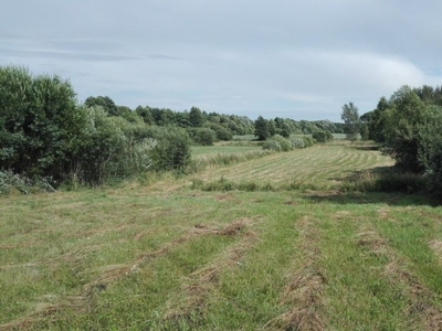 Działka nad jeziorem Luterskim