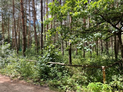 Działka rekreacyjna Brańszczyk Brańszczyk-Nakieł, ul. Spokojna