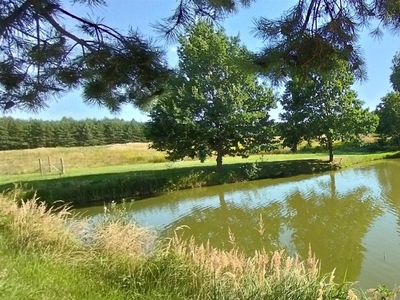 Działka rolna Kolonia Bogoria