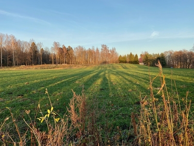 Działka usługowa Węgorzewo