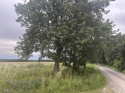 Działki rolne z możliwością zabudowy Malanów gm. Lutomiersk - pow. 3000 m2