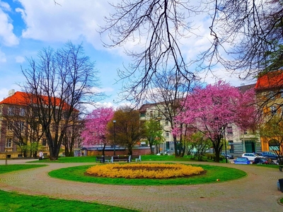 Mieszkanie Katowice Śródmieście, ul. Plac Oddziałów Młodzieży Powstańczej