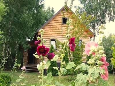 Widokowa działka z drewnianym całorocznym domkiem, Zawiercie-Żerkowice, Jura