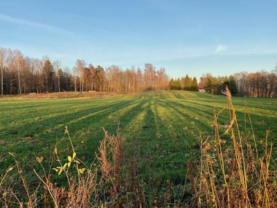 Działka rekreacyjna z MPZP, Mazury, Trygort