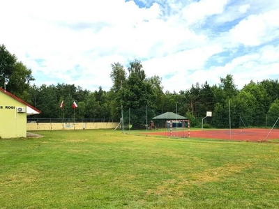 Las z możliwością inwestycyjną pod park linowy