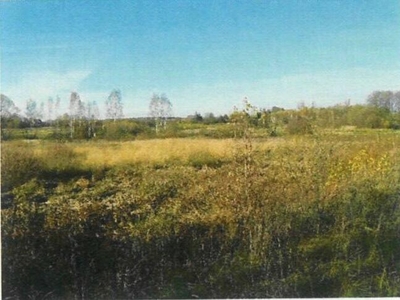 Nieruchomość gruntowa niezabudowana 3,7400 ha - Smagów