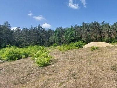 Syndyk sprzeda - udziały w nieruchomości Jednorożec