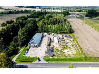 Lokal użytkowy do wynajęcia 384,00 m², oferta nr 1265/3685/OLW