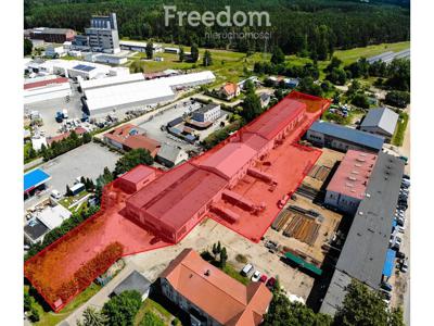 Lokal użytkowy na sprzedaż 3 421,42 m², oferta nr 563/3685/OOS