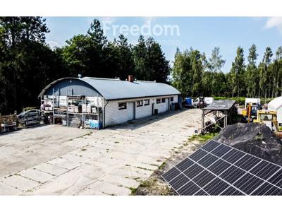 Lokal użytkowy na sprzedaż 384,00 m², oferta nr 1186/3685/OLS