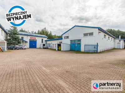 Magazyn do wynajęcia 720,54 m², oferta nr PAN607991