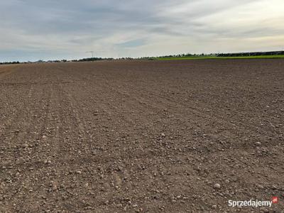 Ziemia rolna kokoszczyn Gmina Tarnowo Podgórne