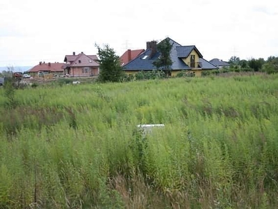 Do sprzedaży teren na Mierzynie o pow. 7 171m2.