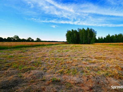 Działka 10km od Kazimierza Dolnego - Zaborze -29ar