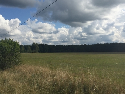 Działka 1340 m2 60zł/m2 3 km od Stepnicy