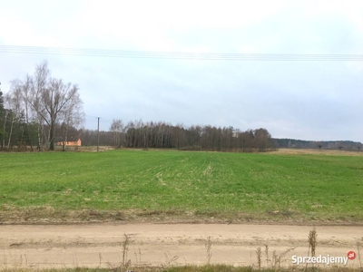 Działka 1530m2 Straszewo gm. Koneck -warunki zabudowy