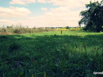 Działka budowlana 30 ar, Nasutów, aleja Lip!!