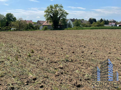 Działka budowlana Dobroszów gm. Chojnów,