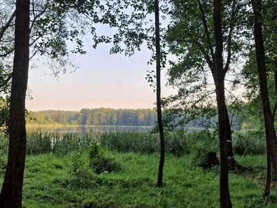 Działka na sprzedaż, Brodnicki, Warpalice