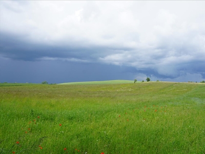 Działka na sprzedaż, Giżycki, Szczybały Orłowskie