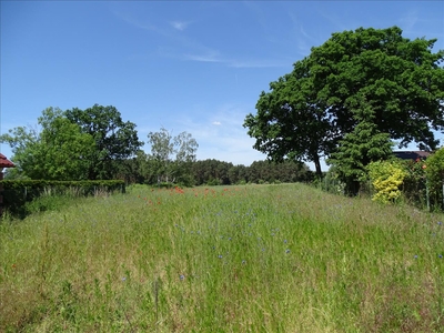 Działka na sprzedaż, Głogowski, Kotla