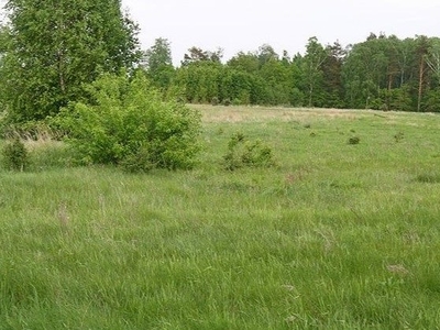 działka na sprzedaż Goleniów (gw) Borzysławiec