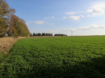 Działka na sprzedaż, Lubaczowski, Lubaczów gm, Basznia Dolna