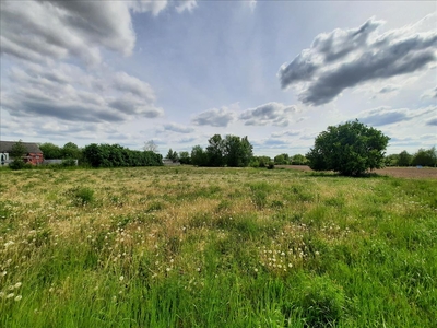 Działka na sprzedaż, Mogileński, Chabsko