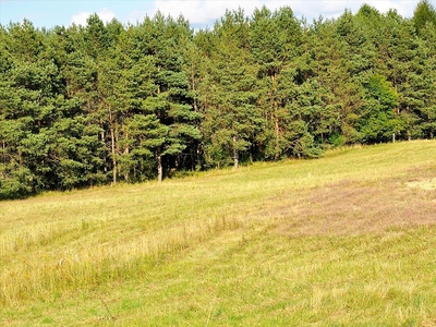 Działka na sprzedaż, Olsztyński, Woryty