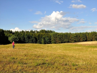 Działka na sprzedaż, Olsztyński, Woryty