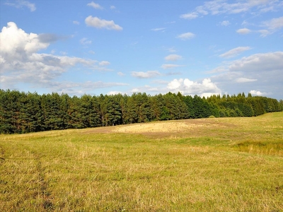 Działka na sprzedaż, Olsztyński, Woryty