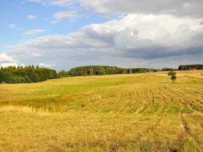 Działka na sprzedaż, Olsztyński, Woryty