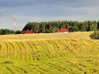 Działka na sprzedaż, Olsztyński, Woryty