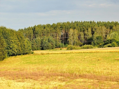 Działka na sprzedaż, Olsztyński, Woryty