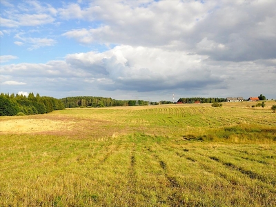 Działka na sprzedaż, Olsztyński, Woryty