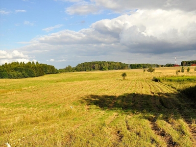 Działka na sprzedaż, Olsztyński, Woryty