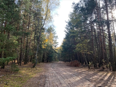 Działka na sprzedaż, Piaseczyński, Prażmów gm, Bronisławów