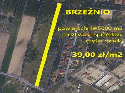 Działka na sprzedaż, Sieradzki, Brzeźnio